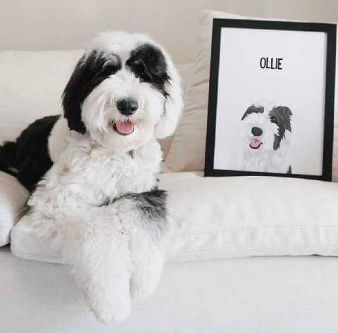 Max and Modern pet portrait