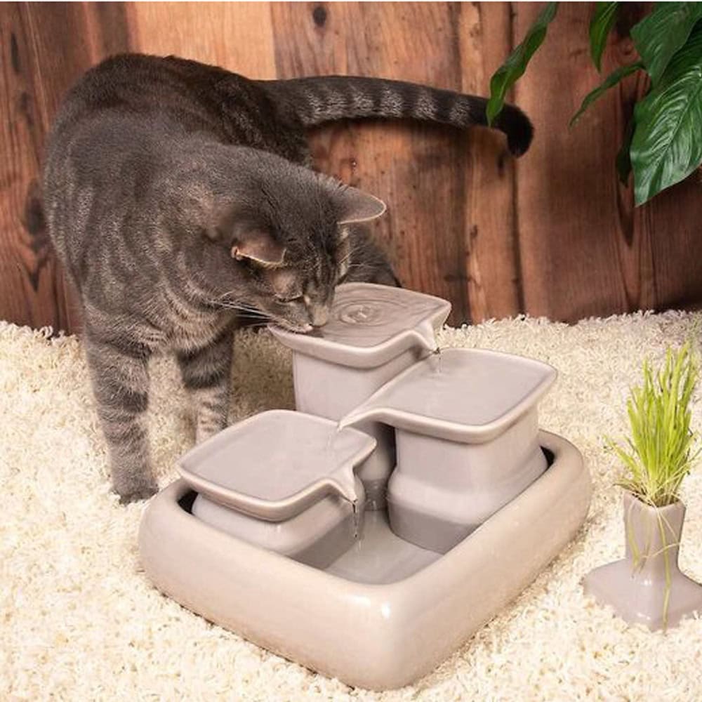 Miaustore Dog & Cat Ceramic Water Fountain