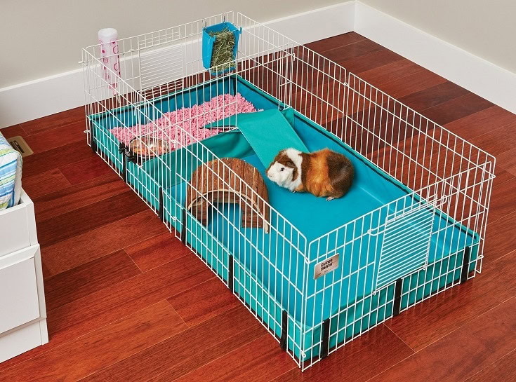 MidWest Guinea Habitat Guinea Pig Home