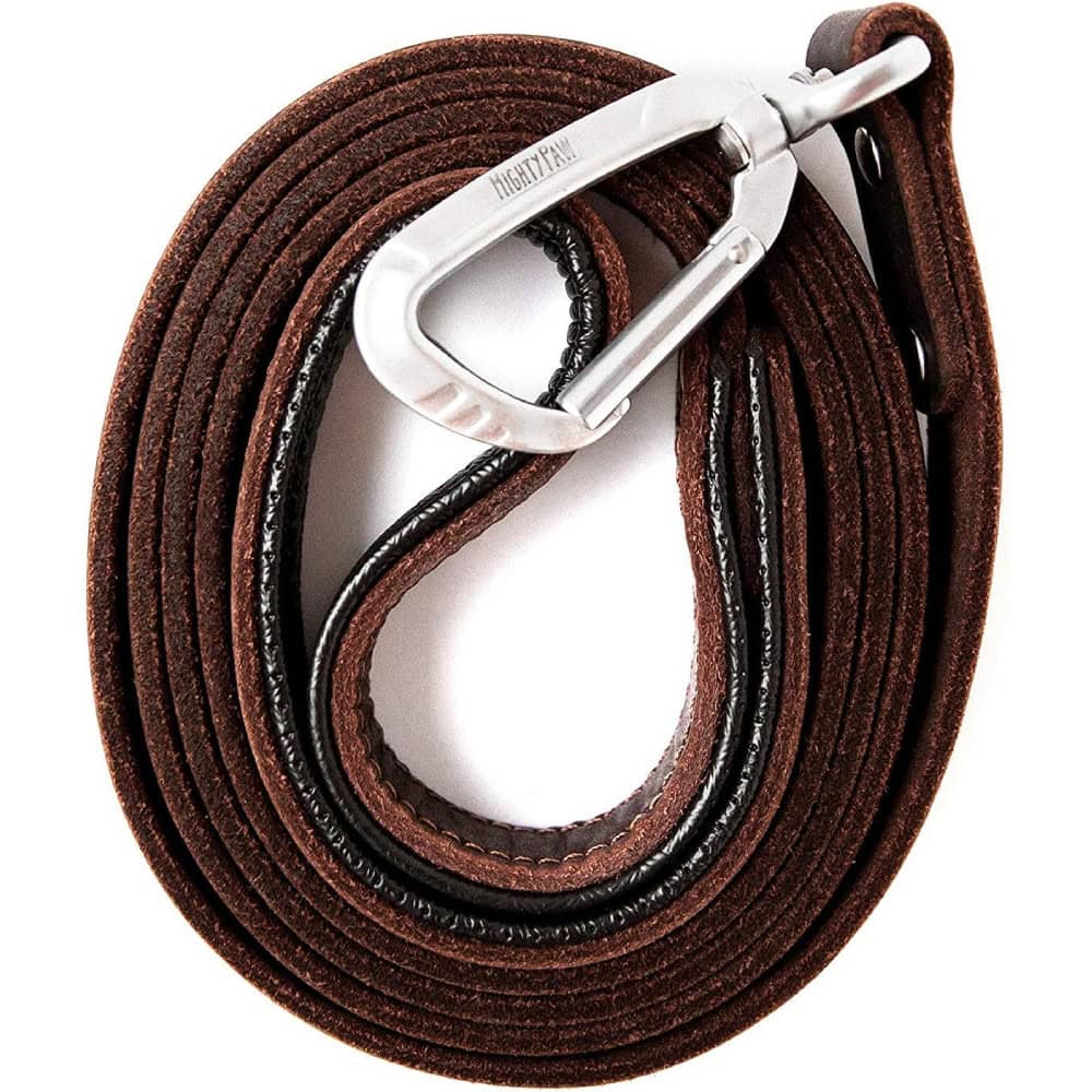Mighty Paw Leather Dog Leash