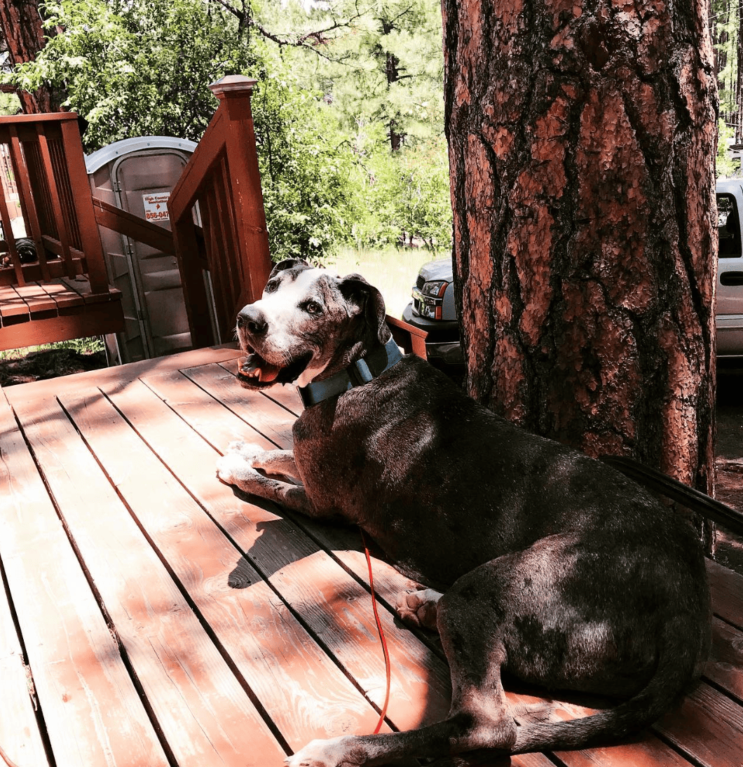 Morman Lake Lodge