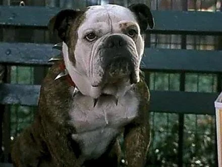 Mr.Beefy from Little Nicky