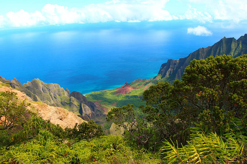 Napili Hawaii