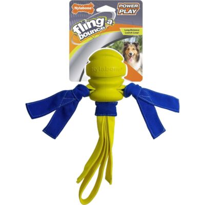 Nylabone Power Play Fling-a-Bounce Dog Toy
