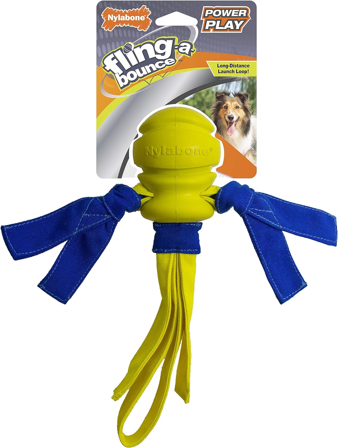 Nylabone Power Play Fling-a-Bounce Dog Toy
