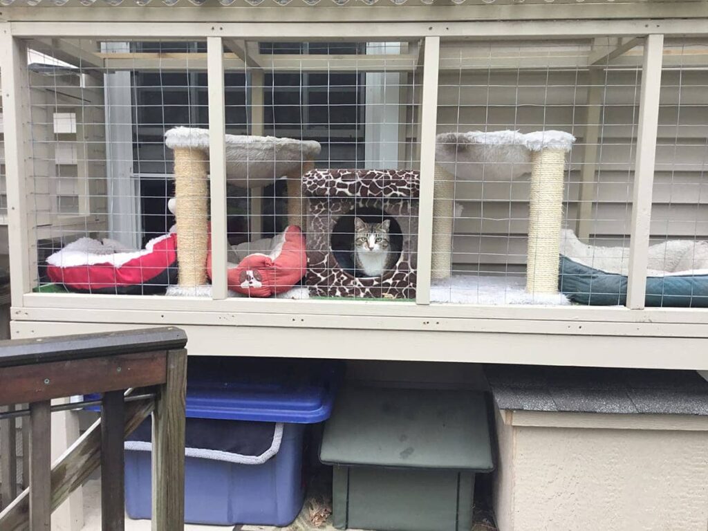 Outdoor Cat Cage