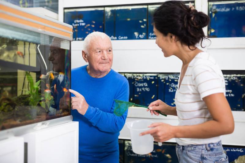 Pet shop employee helps an elderly man choose an aquarium fish