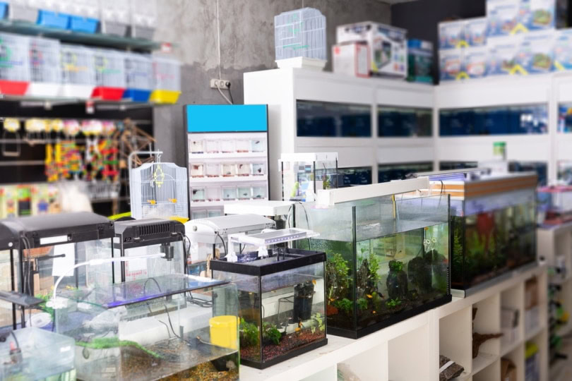 Pet store selling all kinds of pet supplies