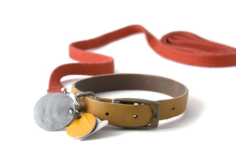 Pet tag ID