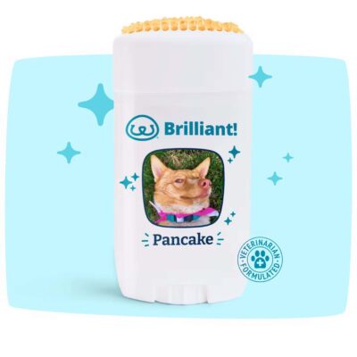 Brilliant! Dental Care for Dogs