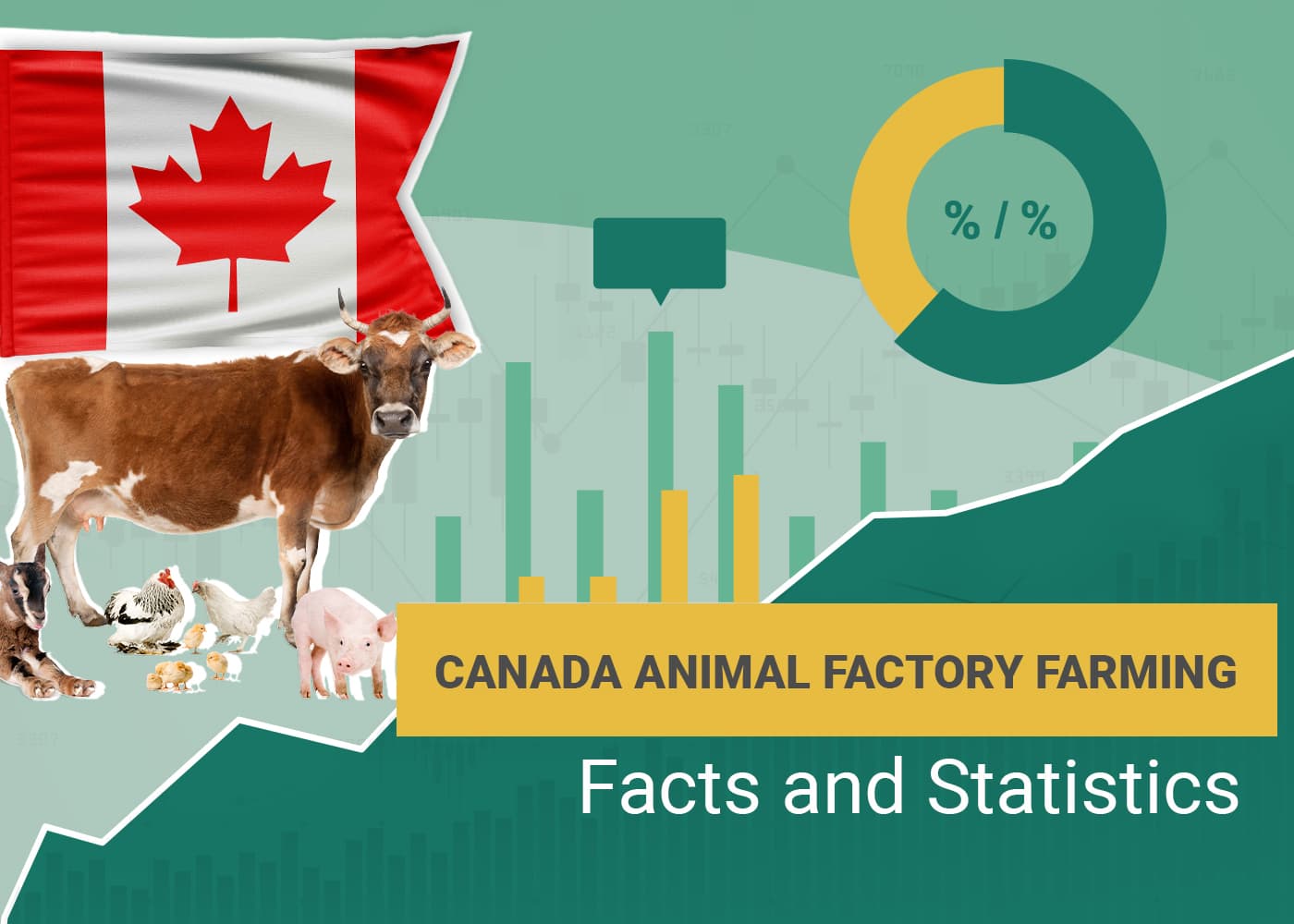 Canada Animal Factory Farming