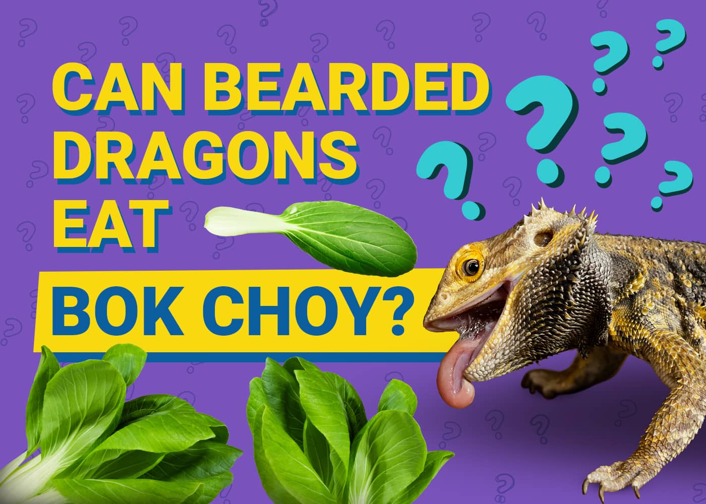PetKeen_Can Bearded Dragons Eat_bok choy