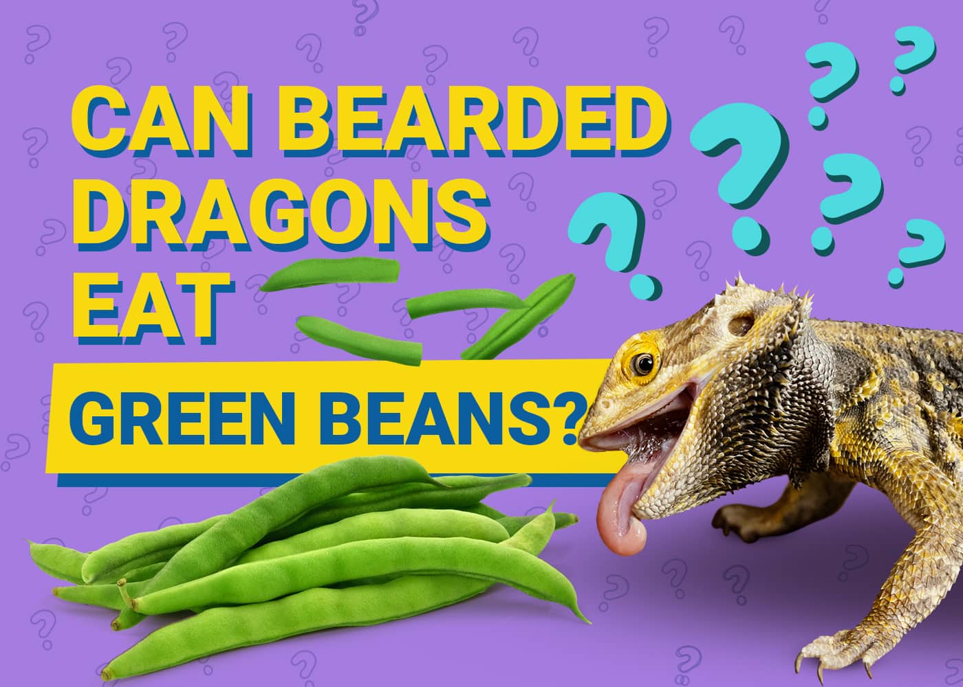 PetKeen_Can Bearded Dragons Eat_green beans
