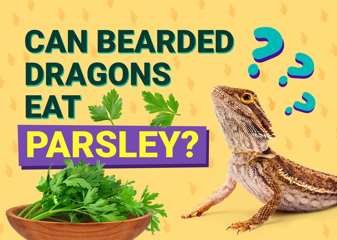 PetKeen_Can Bearded Dragons Eat_parsley