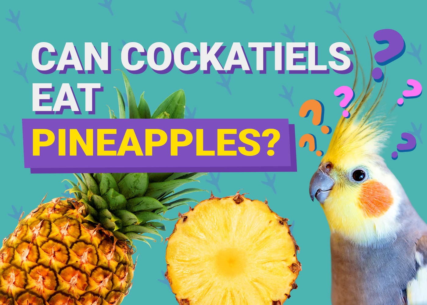 PetKeen_Can Cockatiels Eat_pineapples
