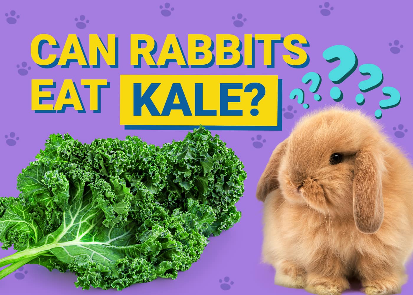 Can Rabbits Eat kale