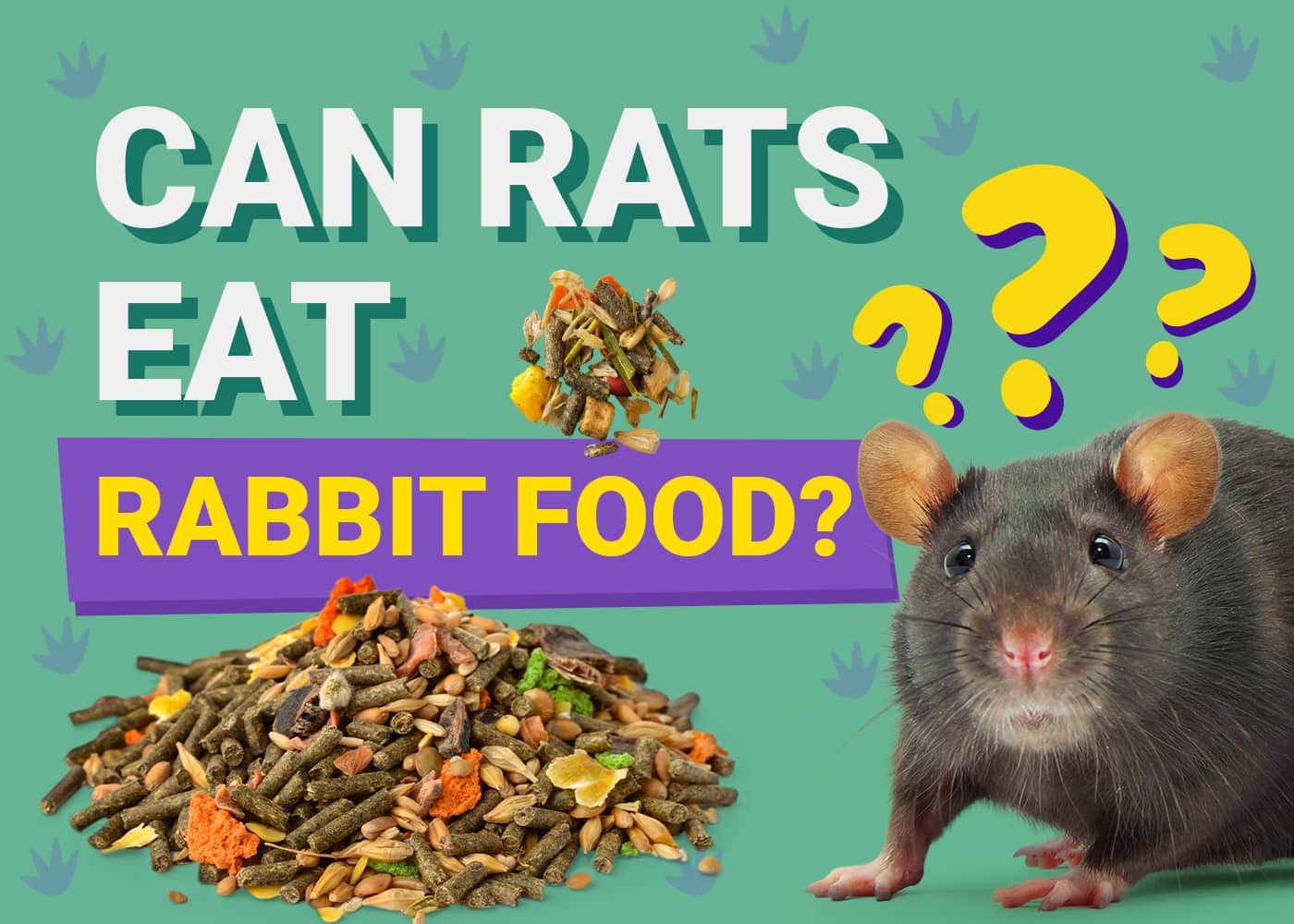 Can Rats Eat Rabbit Food