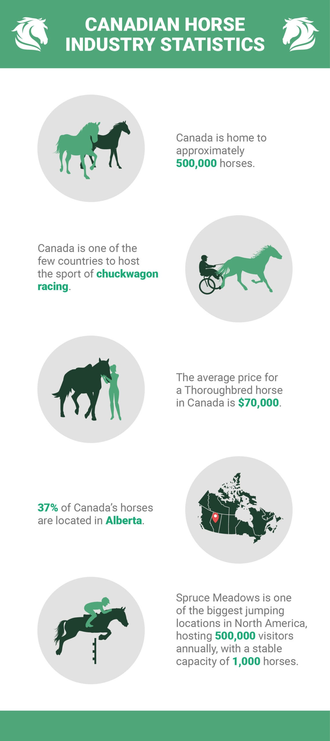 Canadian Horse Industry Statistics