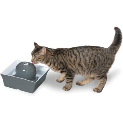 Drinkwell Seascape Pet Fountain