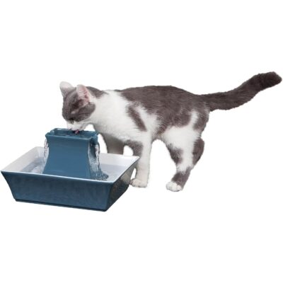 Drinkwell Pagoda Pet Fountain