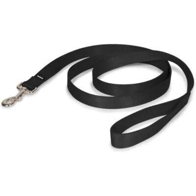 PetSafe Nylon Leash