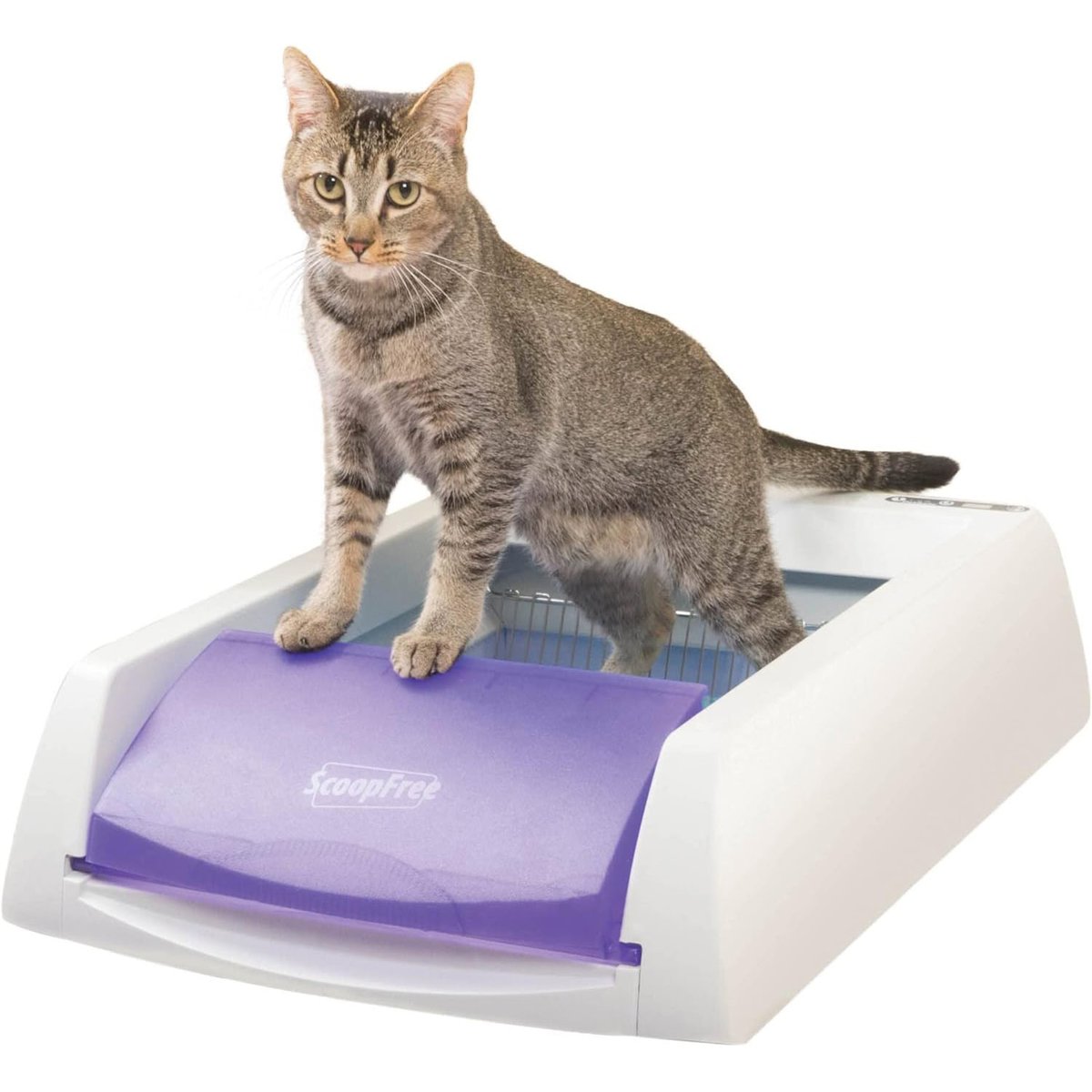 PetSafe ScoopFree Original Purple Uncovered Self Cleaning Cat Litter Box System