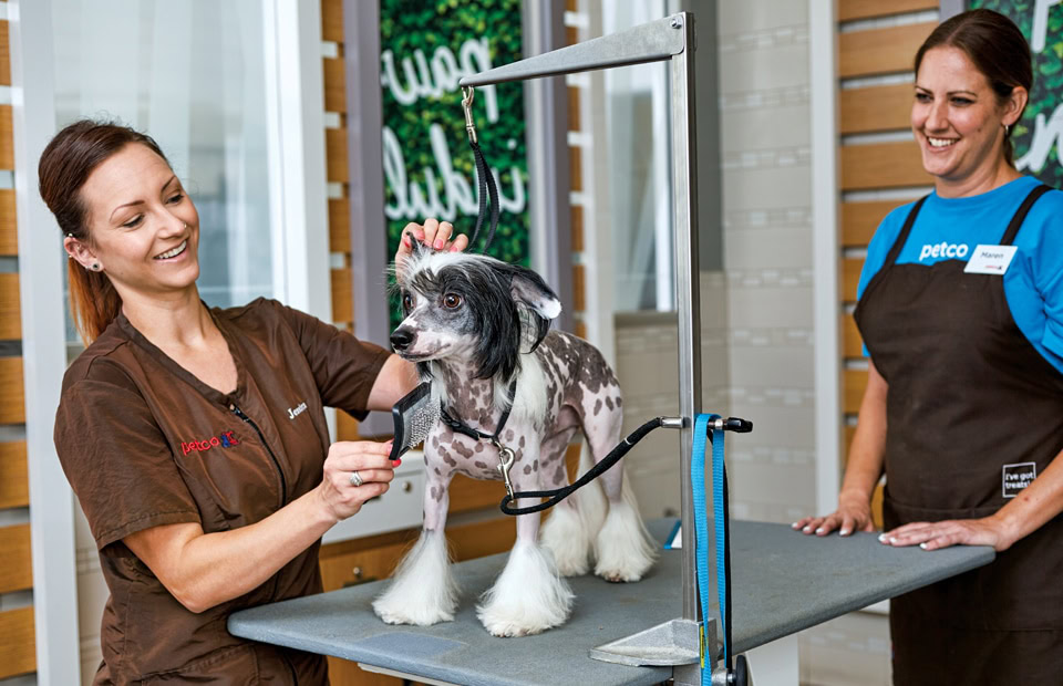 Petco Dog Grooming