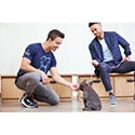 Petco Dog Training