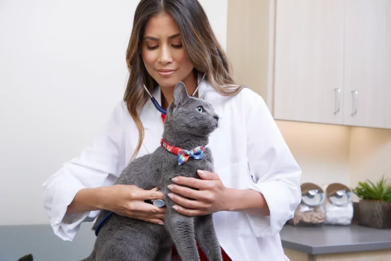 Petco Veterinary Services
