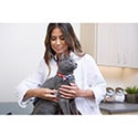 Petco Veterinary Services