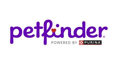Petfinder