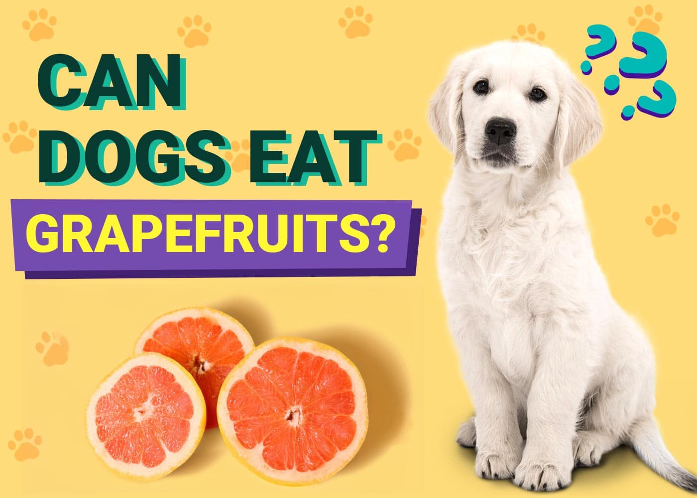 Can Dogs Eat Grapefruits
