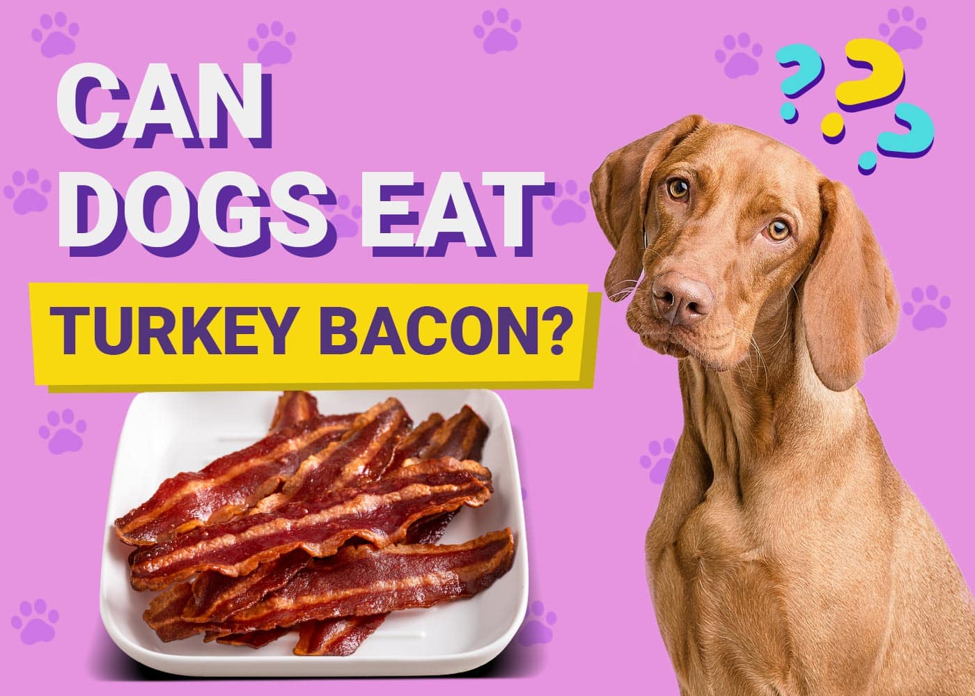 Can Dogs Eat Turkey Bacon