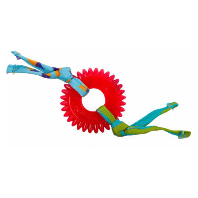 Petstages Dental Kitty Chew Wheel Cat Chew Toy