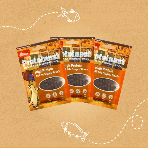 PetzLove Pet Food