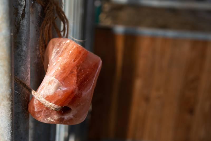 Pink salt lick tied to iron bars of a horse stall as an food additive of minerals