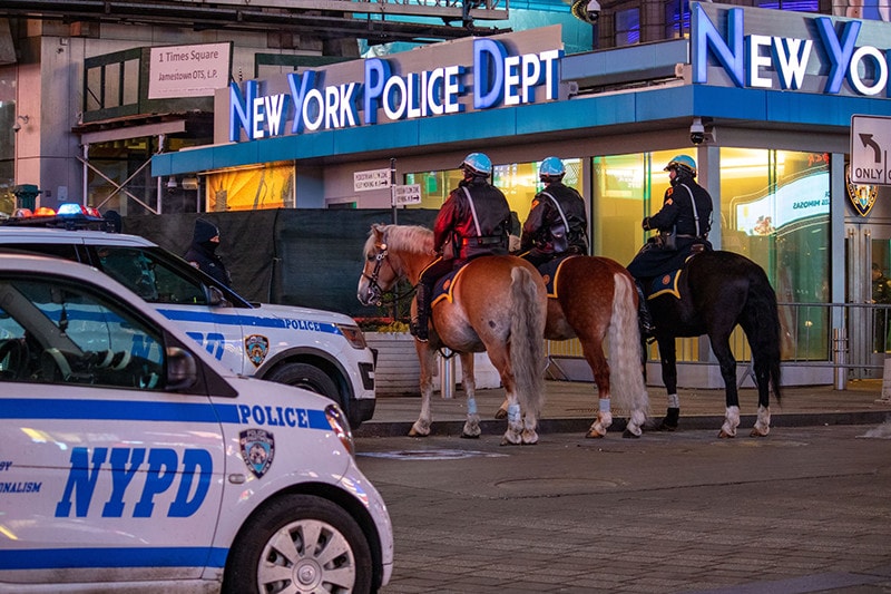 Police Horses