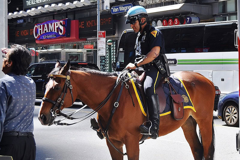 Police Riding Horse