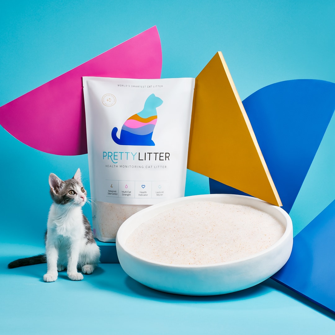 PrettyLitter_open litter with kitten