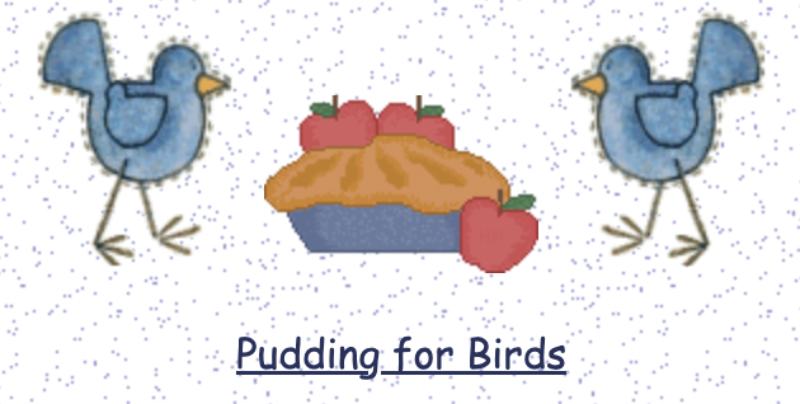 Pudding for Birds1