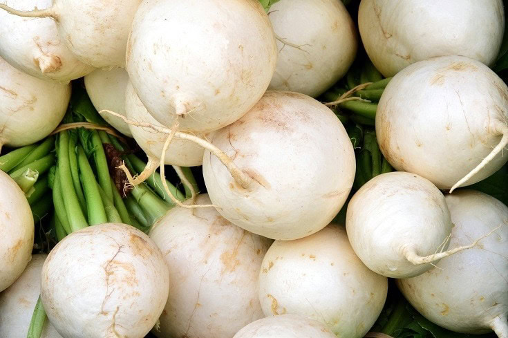 Radish