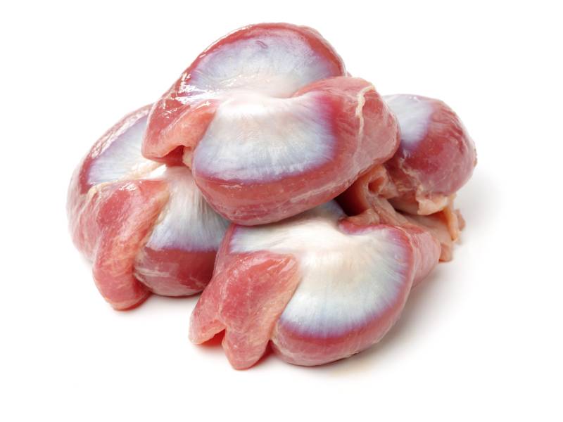 Raw Chicken gizzards on white background