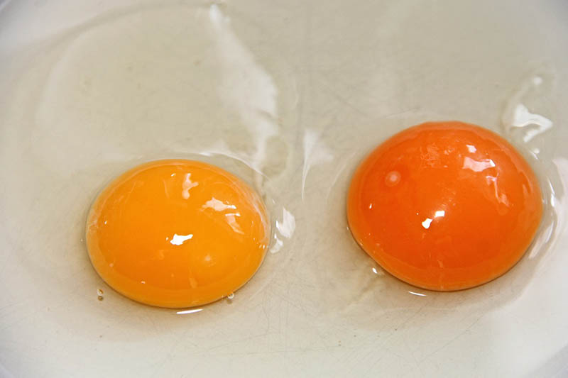 Raw eggs