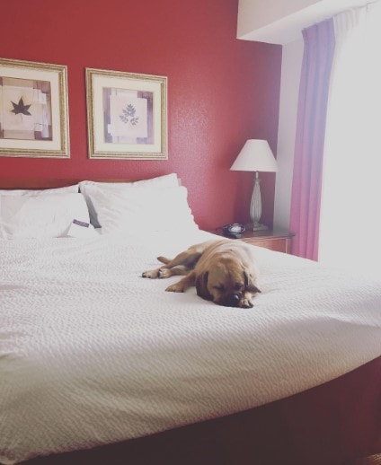 Residence Inn by Marriott Colorado Springs