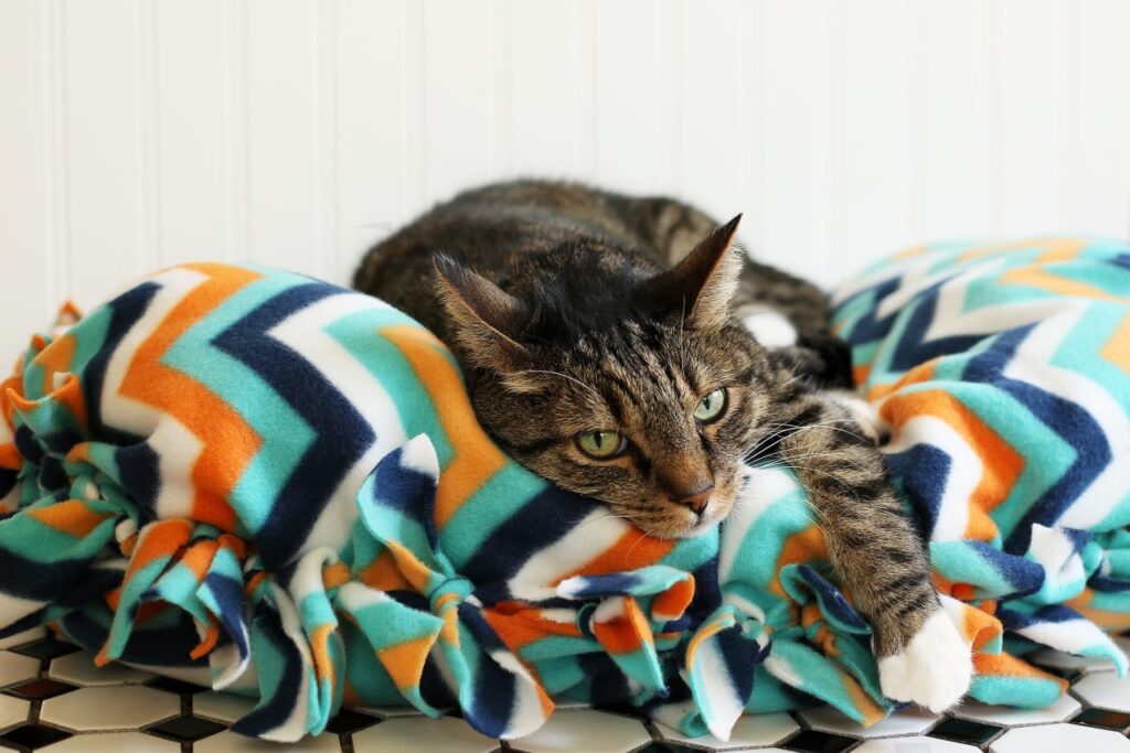 Ridiculously Easy No-Sew Cat Bed