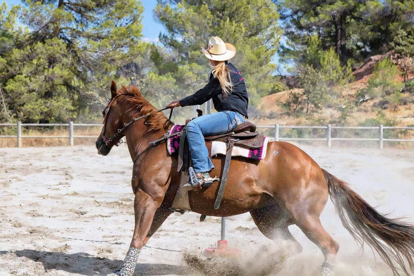 Riding a horse in a saddle