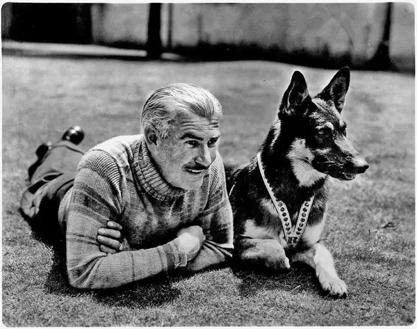 Rin Tin Tin the dog from Frozen River