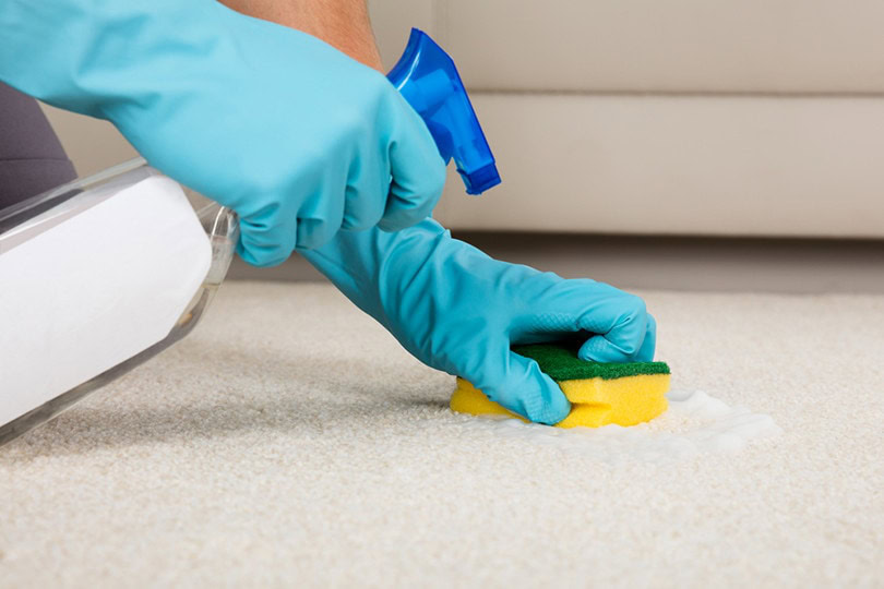 Rug Cleaning