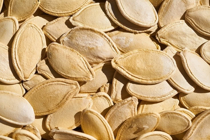Seeds
