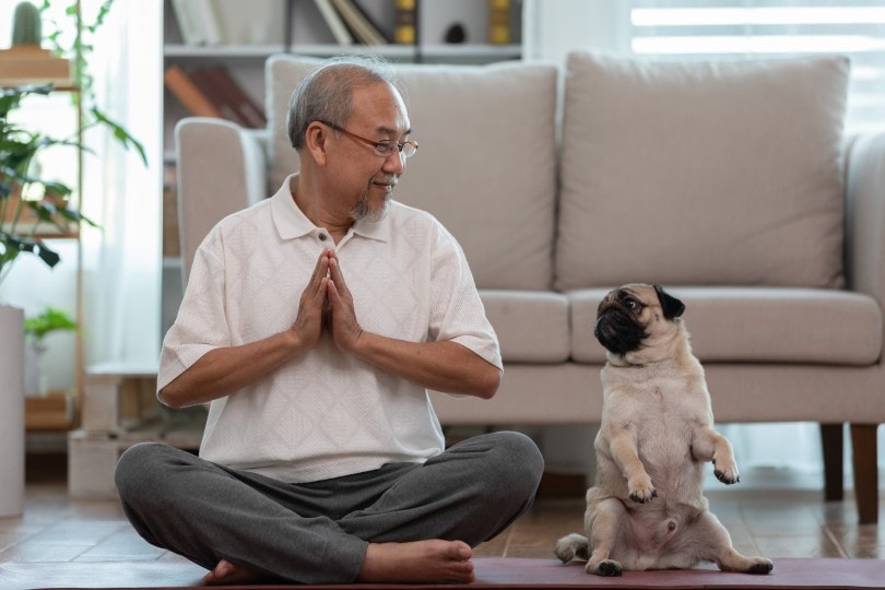 Senior with pug beside